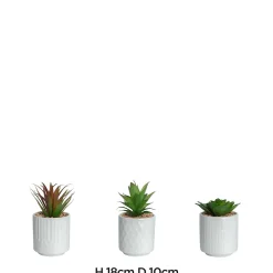 3 plantes artificielles, pot en céramique blanc ∅10 x H.18cm JBY Creation