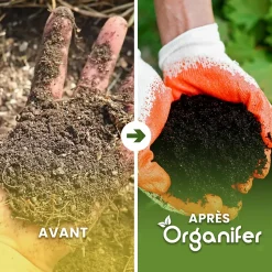 Accélérateur De Compost - 5 Kg Pour 25 À 100 M2 / 5 M3 - Pour Un Compost De Meilleure Qualité En Moins De Temps - Organifer