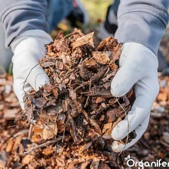 Accélérateur De Compost - 10 Kg Pour 50 À 200 M2 / 10 M3 - Pour Un Compost De Meilleure Qualité En Moins De Temps - Organifer