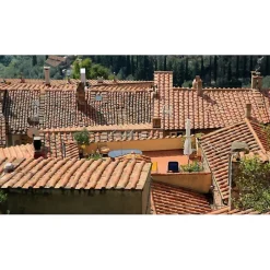 Antimousse concentré 3T 5 litres à diluer pour 1000 m2 de traitement toit toiture mur et sol