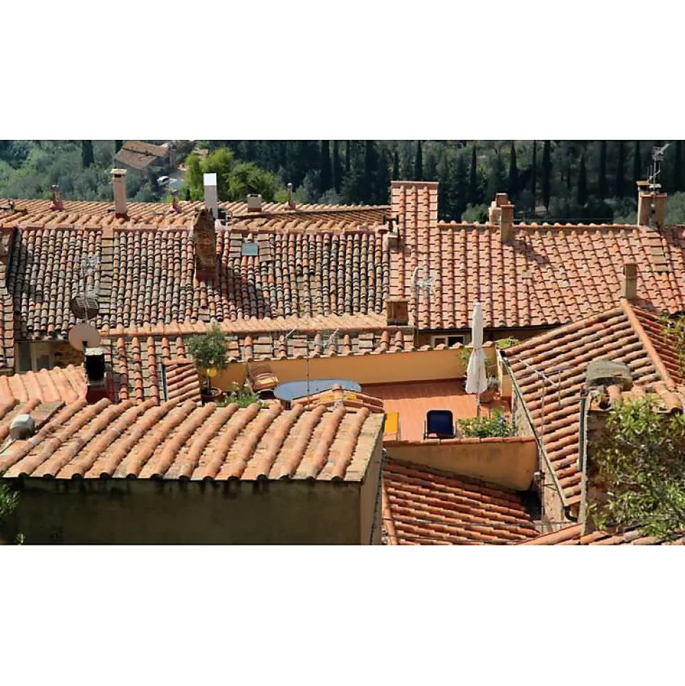 Antimousse concentré 3T 5 litres à diluer pour 1000 m2 de traitement toit toiture mur et sol