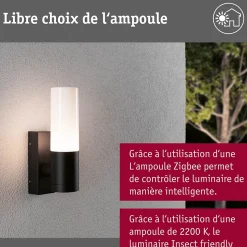 Applique d'extérieur Tralia IP44 65x250mm max. 10W 230V Anthracite Aluminium