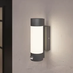 Applique murale à détection Callisto 800lm 14W IP44 GoodHome gris anthracite
