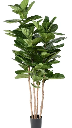 Arbre figuier Lyrata multi Artificiel