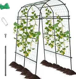 Arche de Jardin en Métal pour Différentes Plantes Grimpantes et Vignes Arche Treillis Revêtu PE pour Jardin