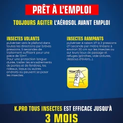 Aérosol tous insectes Kapo Expert 500 ml