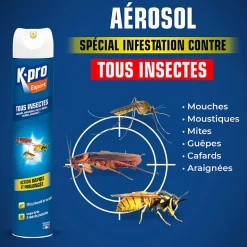 Aérosol tous insectes Kapo Expert 500 ml