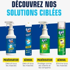 Aérosol tous insectes Kapo Expert 500 ml