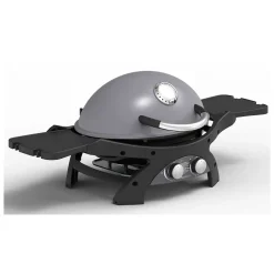 Barbecue à Gaz portable 5200W Grille de cuisson fonte émaillée 58 x 42.5 cm 2 Bruleurs PIT BOSS