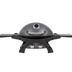 Barbecue à Gaz portable 5200W Grille de cuisson fonte émaillée 58 x 42.5 cm 2 Bruleurs PIT BOSS