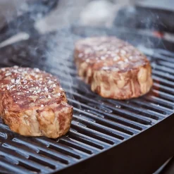 Barbecue à gaz Q 1200 Noir - Weber