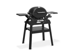 Barbecue à gaz Q 1200N noir avec pied - Weber