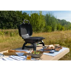 Barbecue à gaz Travel Q 240 1 brûleur Napoléon