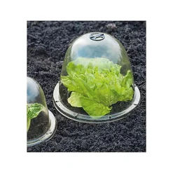 Cloches de forçage, Diamètre 25.5 cm
