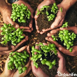 Comprimés De Substrat De Noix De Coco En Fibre De Coco - Lot De 12 Sacs X 10 L équivaut à T 120 L - Organifer
