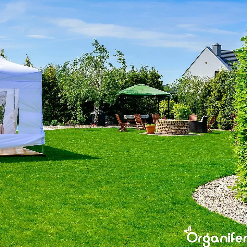 Engrais Calcaire avec Magnésium - 5 kg pour 100 m2 - Organifer