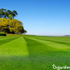 Engrais Calcaire avec Magnésium - 5 kg pour 100 m2 - Organifer