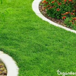 Engrais Calcaire avec Magnésium - 5 kg pour 100 m2 - Organifer