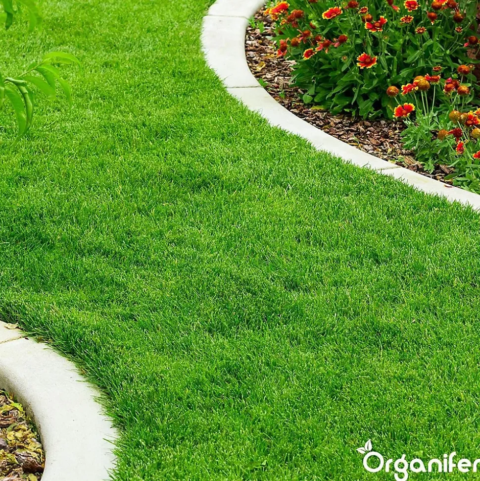 Engrais Calcaire avec Magnésium - 5 kg pour 100 m2 - Organifer