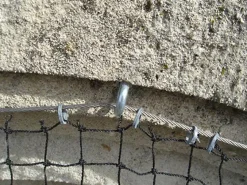 Filet anti-pigeons - Maille de 50mm Noir 5m x 25m