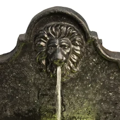 Fontaine murale en résine bronze avec tête de lion et éclairage LED
