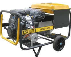 Générateur 11 kVA 230V Vanguard AVR démarrage électrique