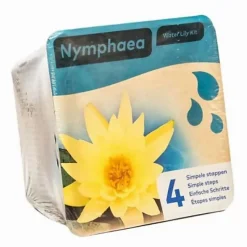 Kit Nénuphar - plante aquatique pour bassin - Jaune - Moerings