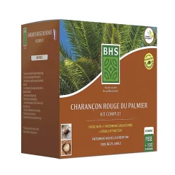 Kit piège charançon rouge du palmier