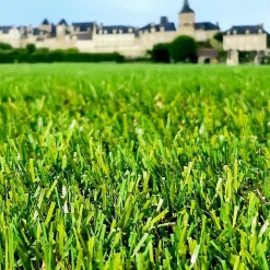 35mm 2mx5m Gazon synthétique Bobby Aubagne 35mm 2mx5m