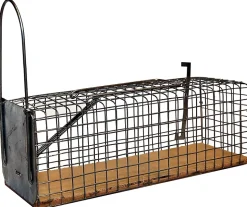 Nasse à rats monoprise avec socle en bois