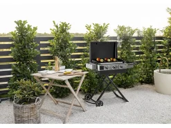 Plancha à gaz avec chariot pliable et portable "Firo" 7,5 kw Noir