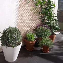 Pot brut en terre cuite ø 23 cm Deroma