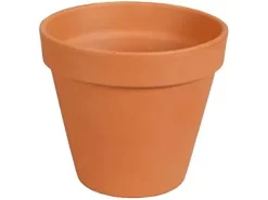 Pot Brut en Terre Cuite Naturelle ø13 cm