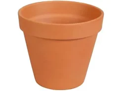 Pot Brut en Terre Cuite Naturelle ø11 cm