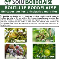 Solu'Bordelaise - 3 kg Bouillie Bordelaise Non Colorée - Sulfate de Cuivre - Fruitiers, Potager, Vigne - UAB - Doseur Inclus