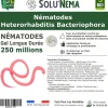 SOLUNEMA-Nématodes Heterorhabditis Bacteriophora (HB) -250 Millions