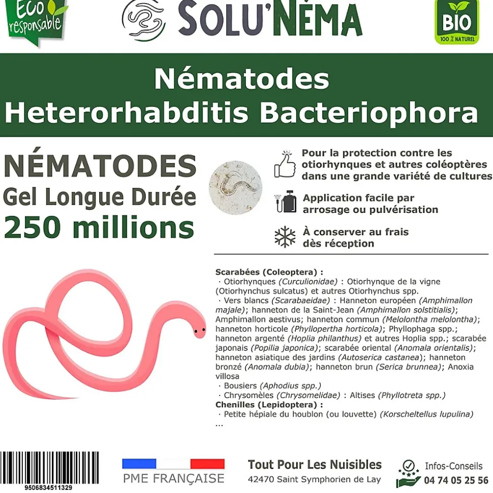 SOLUNEMA-Nématodes Heterorhabditis Bacteriophora (HB) -250 Millions