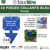 Solunéma - 10 Pièges Collants Bleus pour les Thrips, Moucherons, Design XXL