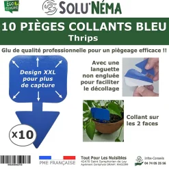 Solunéma - 10 Pièges Collants Bleus pour les Thrips, Moucherons, Design XXL