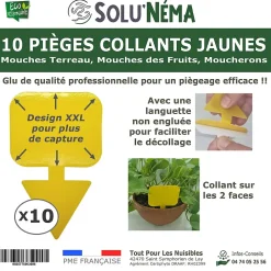 SoluNéma - 10 Pièges Collants Jaunes pour Mouches du Terreau, Mouches des Fruits, Moucherons, Design XXL