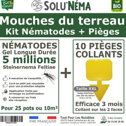 Solunéma - Kit Nématodes 5 Millions + 10 Pièges Jaunes XXL - Contre Mouches du Terreau - pour 25 Pots