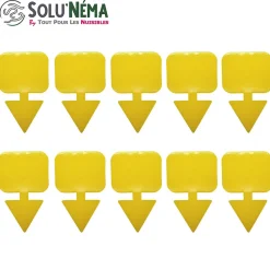 Solunéma - Kit Nématodes 5 Millions + 10 Pièges Jaunes XXL - Contre Mouches du Terreau - pour 25 Pots