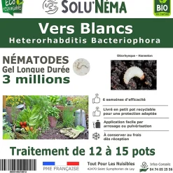 Solunéma - Vers Blancs - Traitement à base de nématodes Heterorhabditis Bacteriophora (HB) - 3 millions