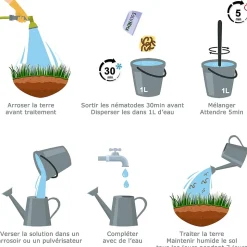 Solunéma - Vers Blancs - Traitement à base de nématodes Heterorhabditis Bacteriophora (HB) - 3 millions