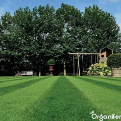 Topdressing pour Gazon - Mix avec Mycorhizes et Rhizobactéries - gros sac 500 Litres - Organifer