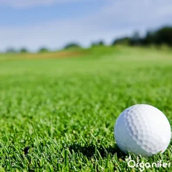 Topdressing pour Gazon - Mix avec Mycorhizes et Rhizobactéries - gros sac 500 Litres - Organifer