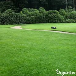 Topdressing pour Gazon - Mix avec Mycorhizes et Rhizobactéries - gros sac 500 Litres - Organifer