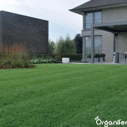 Topdressing pour Gazon - Mix avec Mycorhizes et Rhizobactéries - gros sac 500 Litres - Organifer