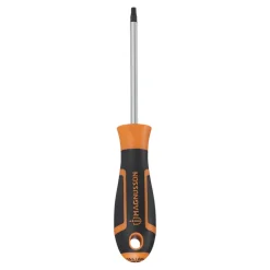 Tournevis tête Torx T25 Magnusson bout magnétique lame longueur 100 mm