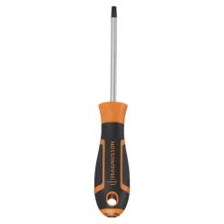Tournevis tête Torx T30 Magnusson bout magnétique lame longueur 100 mm